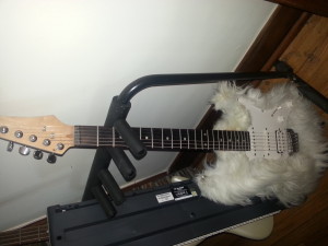 One funky-ass axe.  A modified Ibanez GRX40.  Faux fur, no animals were harmed during the making of this guitar....